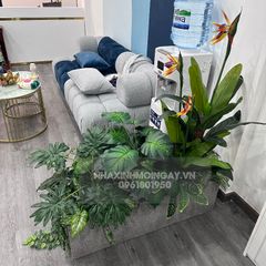 Hộp cây giả trang trí văn phòng TC004