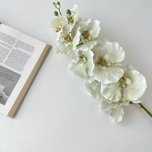 Lan hồ điệp cánh nhúng giả cao cấp