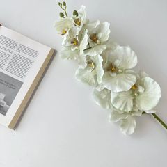 Lan hồ điệp cánh nhúng giả cao cấp