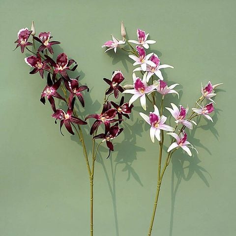 Lan hoàng thảo giả trang trí