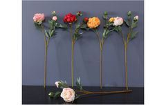 Mẫu đơn vải cao cấp cành dài A34