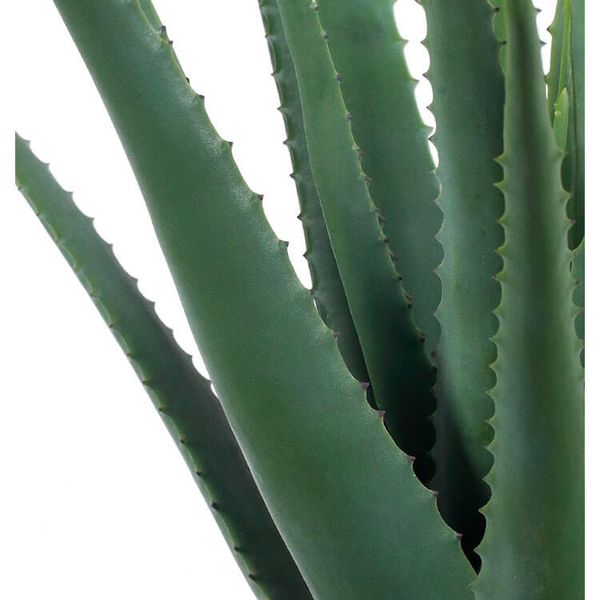 Chậu cây nha đam giả trang trí nhà cửa