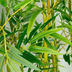 Cây trúc quân tử giả 3 mét  trang trí văn phòng