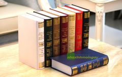 Sách giả trang trí phong cách cổ điển