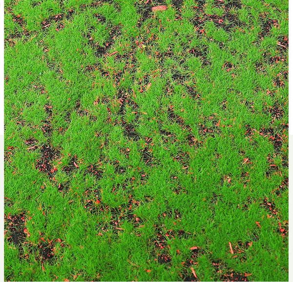 Thảm rêu giả trang trí tiểu cảnh