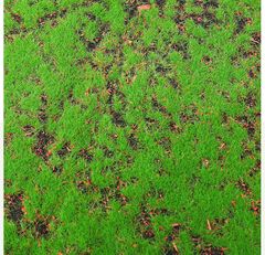 Thảm rêu giả trang trí tiểu cảnh