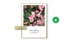 Tranh vườn hồng ( nhiều lựa chọn )