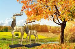 Cặp nai sừng xám đứng