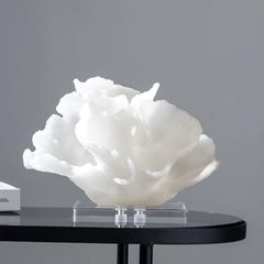 Tượng san hô để bàn trang trí NX23