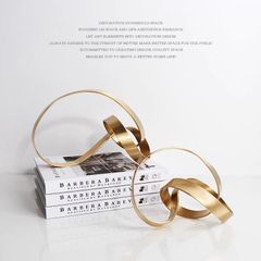 Vòng tròn Möbius nghệ thuật trang trí