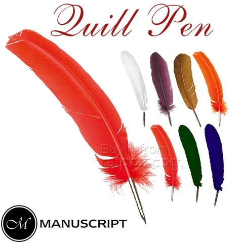 Bút lông vũ Manuscript Quill Pen