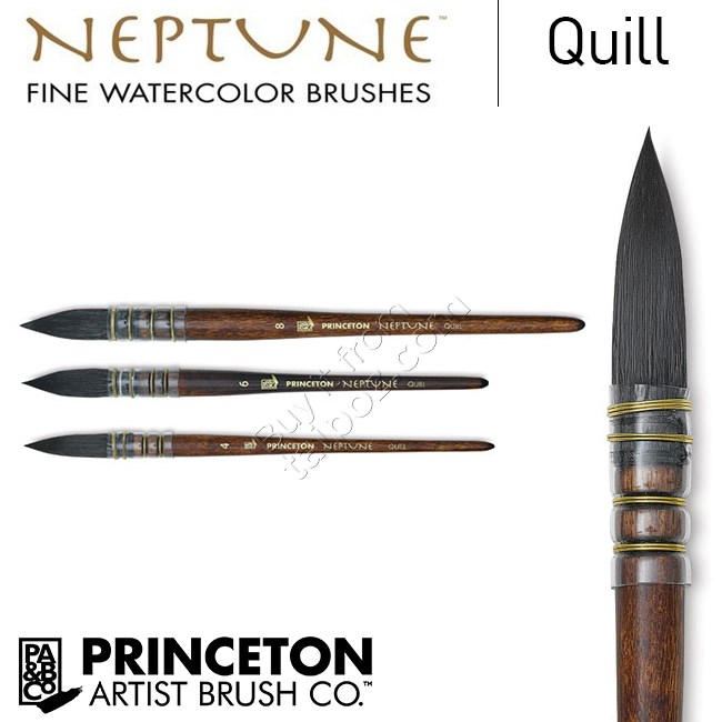 Cọ màu nước Princeton Neptune Fine cọ mop (quill) Taipoz