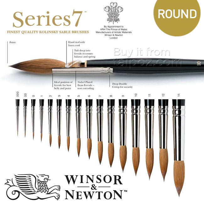 Winsor & Newton : Series 7 Kolinsky Sable Paint Brush : Product Review 