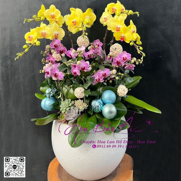  BÌNH HOA LAN 10 CÀNH TẶNG TẾT - LHD 725 
