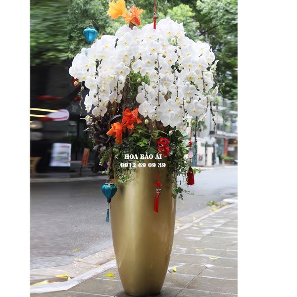  Bình hoa lan biếu Tết 2025 LHD-776 