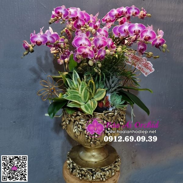 Bình hoa lan biếu tết 2022 sang trọng LHD-649