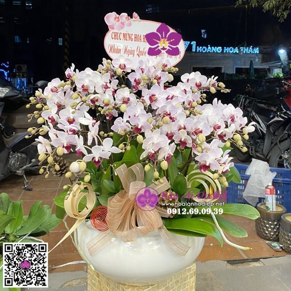 bình hoa lan hồ điệp mini hồng