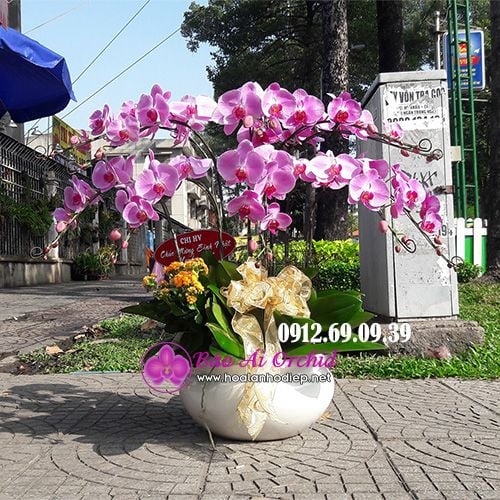 bình hoa lan 10 cành màu hồng phấn