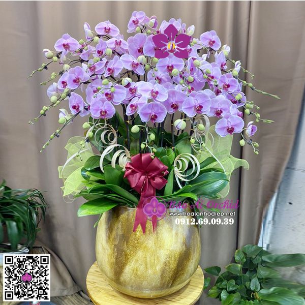 Bình hoa lan hồng phấn đẳng cấp LHD-677