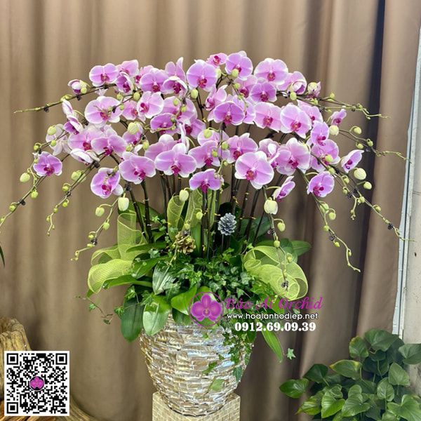 Bình hoa lan hồng phấn đẳng cấp LHD-681 | RỰC RỠ