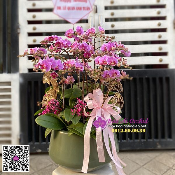 Bình hoa lan nhỏ để bàn xinh xắn LHD-684