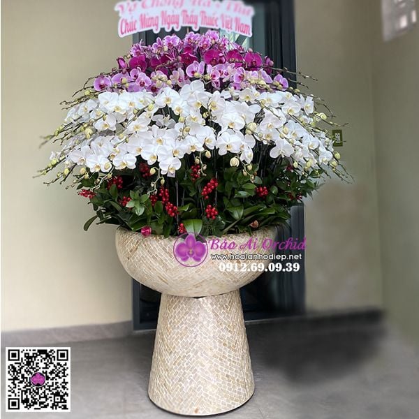 Bình hoa lan 5 tầng siêu VIP LHD-660