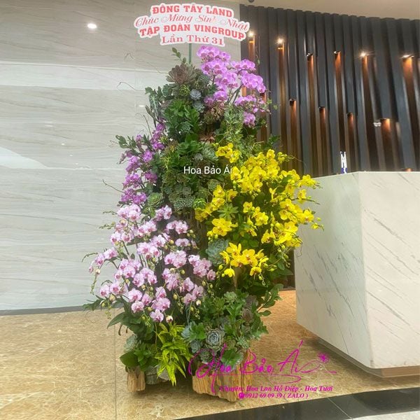  Lũa gỗ hoa lan hồ điệp siêu đẹp, lạ mắt LHD-579 