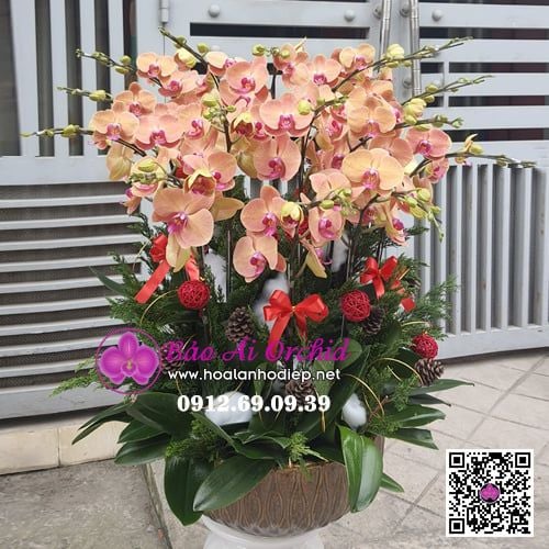 Bình hoa lan hồ điệp cam 15 cành biếu tết LHD-625