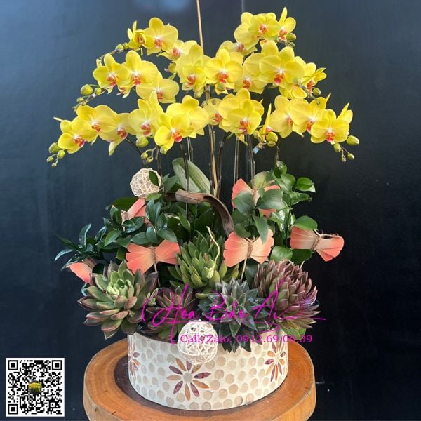 chậu hoa lan vàng 9 cành đẹp