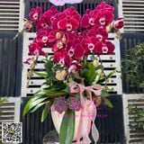  Chậu hoa tím Cherry đẹp LHD-794 