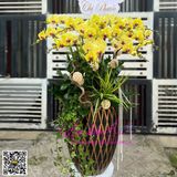  Bình hoa lan vàng sang trong LHD-800 