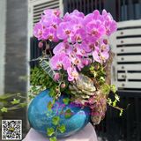  Binh hoa lan để bàn gỗ lũa LHD-802 