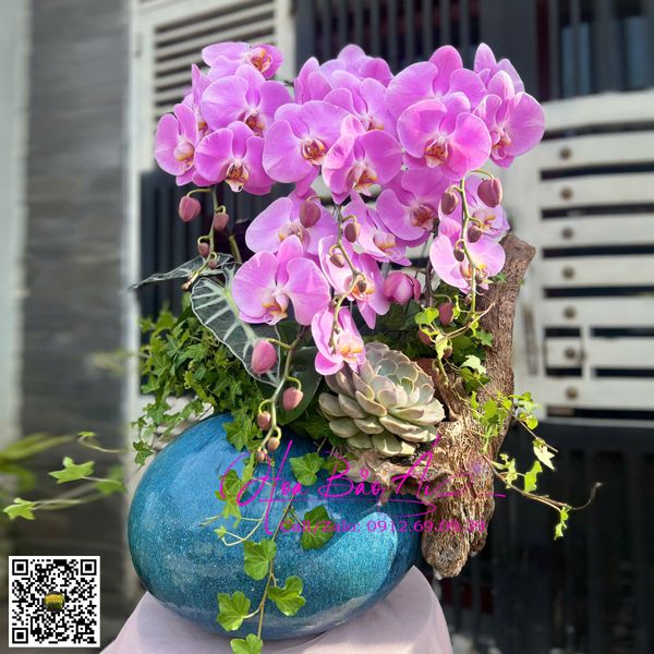 bình hoa lan gỗ lũa