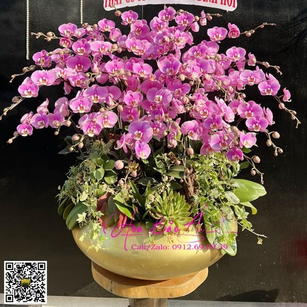 bình hoa lan hồng sang trọng