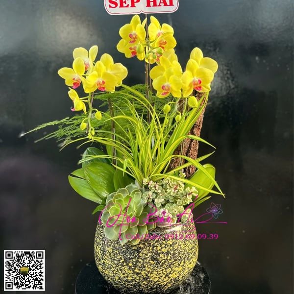 bình hoa lan vàng nhỏ xinh 3 cành