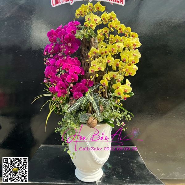 bình hoa lan leo lũa mix màu tím vàng