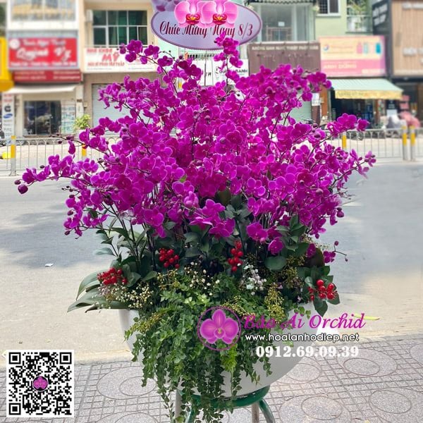 bình hoa lan mãn thiên hồng đẹp