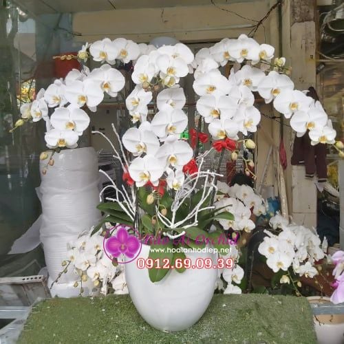 Bình hoa lan hồ điệp 8 cành LHD-553
