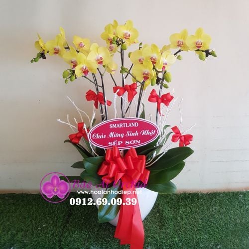 Bình hoa lan vàng 5 cành mừng sinh nhật