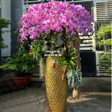  Chậu hoa lan Vip tặng khách hàng LHD-775 