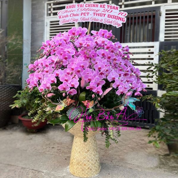  Chậu hoa lan tặng Sếp đẹp nhất LHD-826 