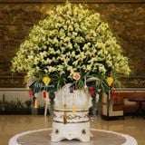  Chậu hoa lan 139 cành hoa vàng siêu đẹp chưng tết 2025 LHD-772 