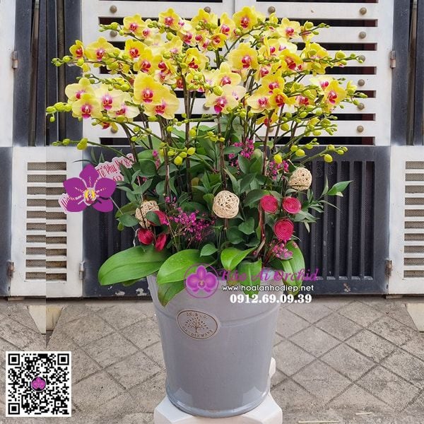 bình hoa lan vàng mini đẹp