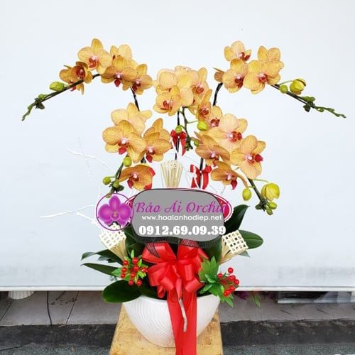 Bình hoa lan vàng cam 5 cành