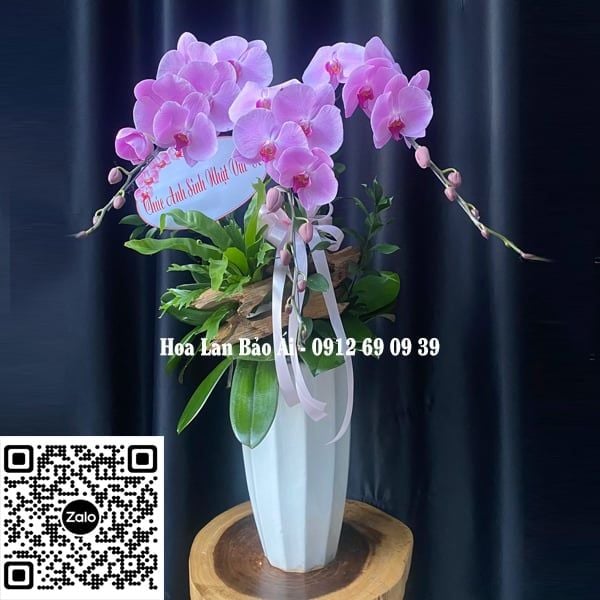  Chậu lan đẹp LHD-710 