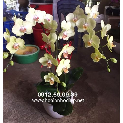 chau lan ho diep mung 20-10