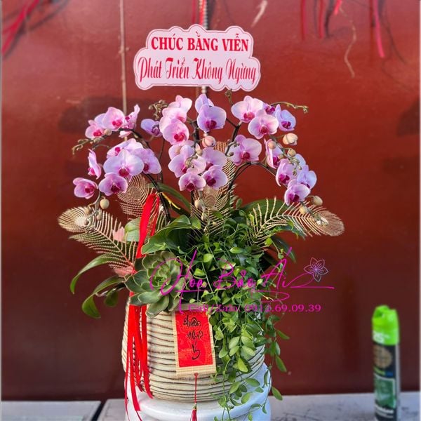 Chậu hoa mini chúc mừng khai trương LHD-827 