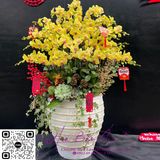  Chậu hoa lan vàng mặt trời biếu tết 2024 LHD-729 