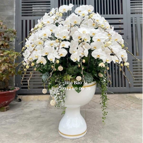  Chậu hoa lan trắng cắm tròn LHD-831 