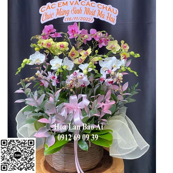  Hoa sinh nhật - Giỏ hoa lan mix màu tặng sinh nhật đẹp LHD-703 